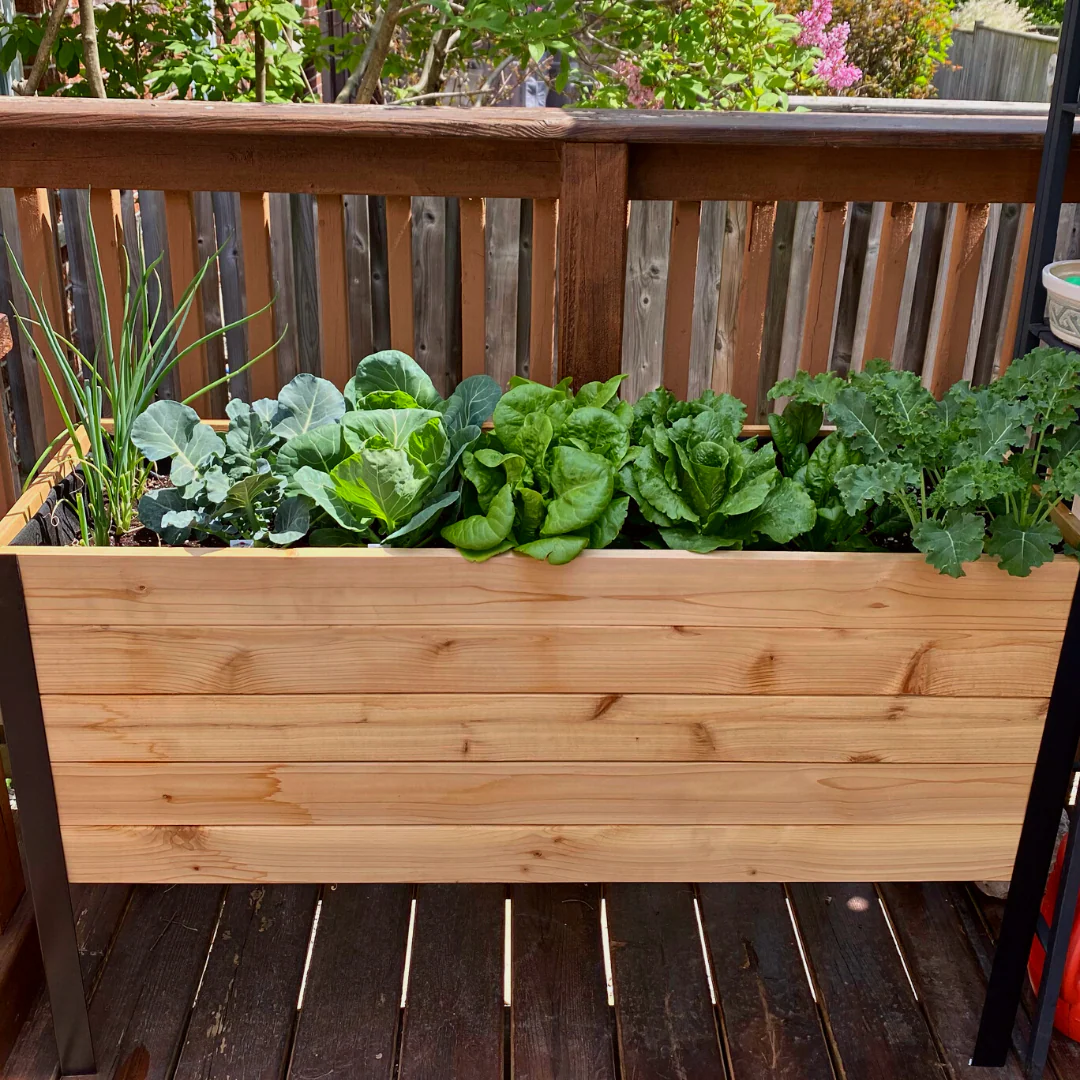 18" x 48" Raised Garden Bed - 30" TALL - Select Grade - Image 10