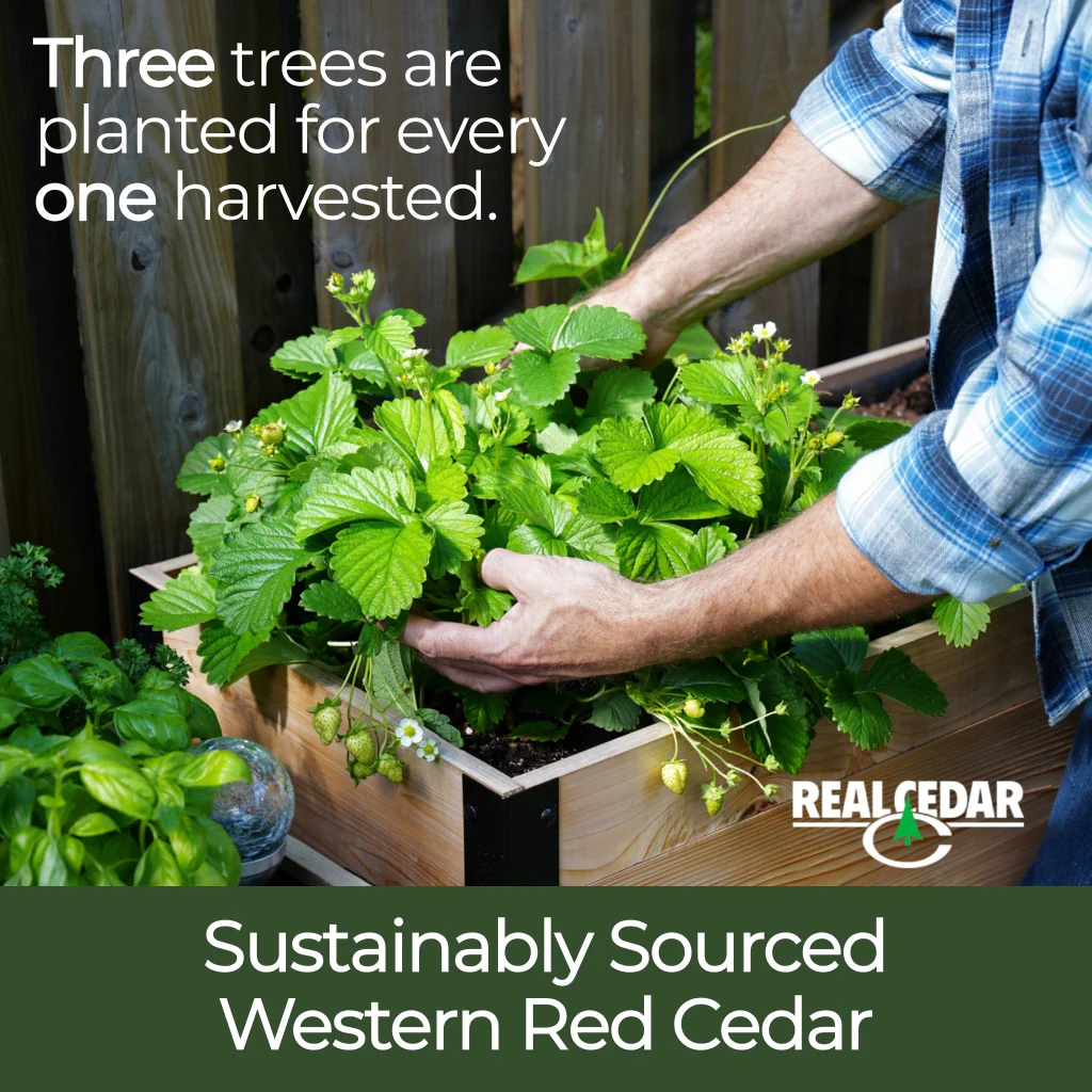 18" x 72" Raised Garden Bed - 30" TALL / Select Grade - Image 7