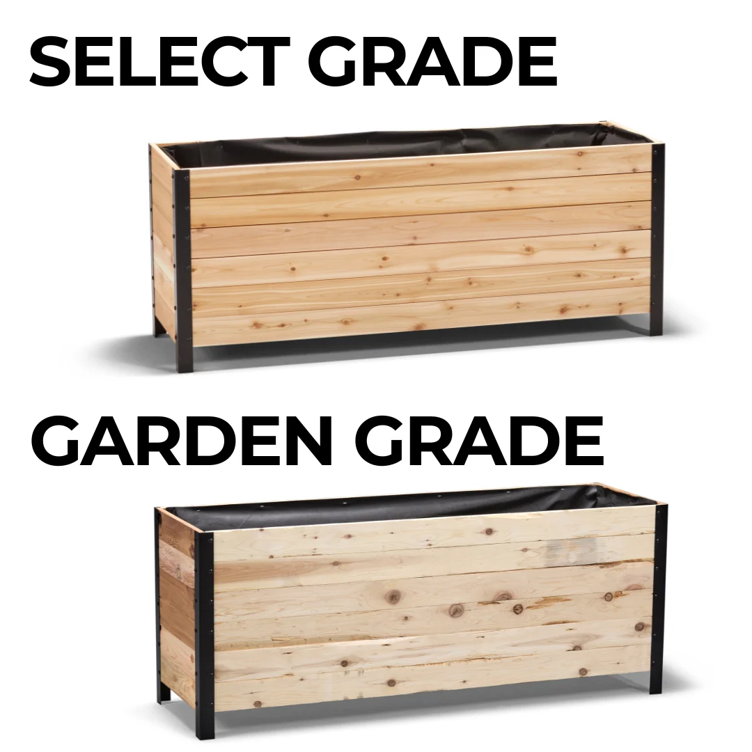 18" x 60" Planter Box - 24" TALL / Select Grade - Image 10