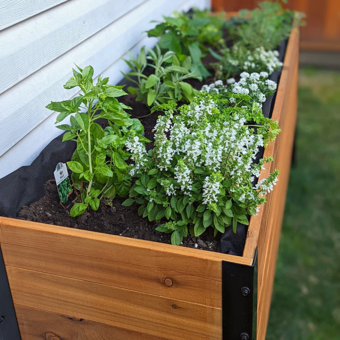 18" x 72" Planter Box - 24" TALL / Select Grade - Image 9