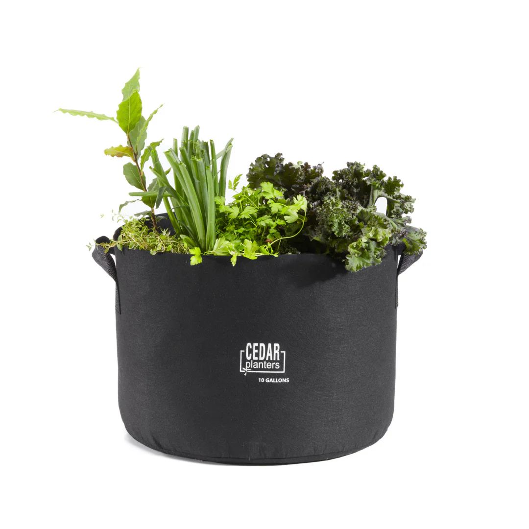 Grow Bag (10 Gallon) - Image 5