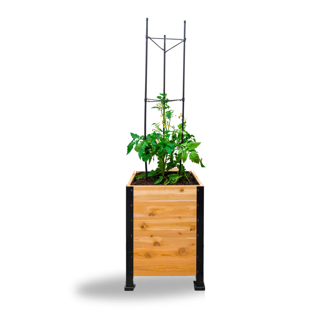 Vegetable Cage